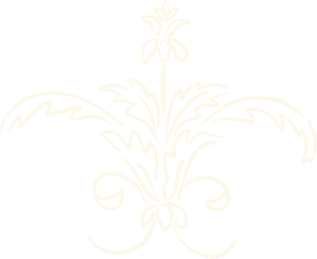 Ícone de arabesco com direitos autorais exclusivos para Melanie Rahmani