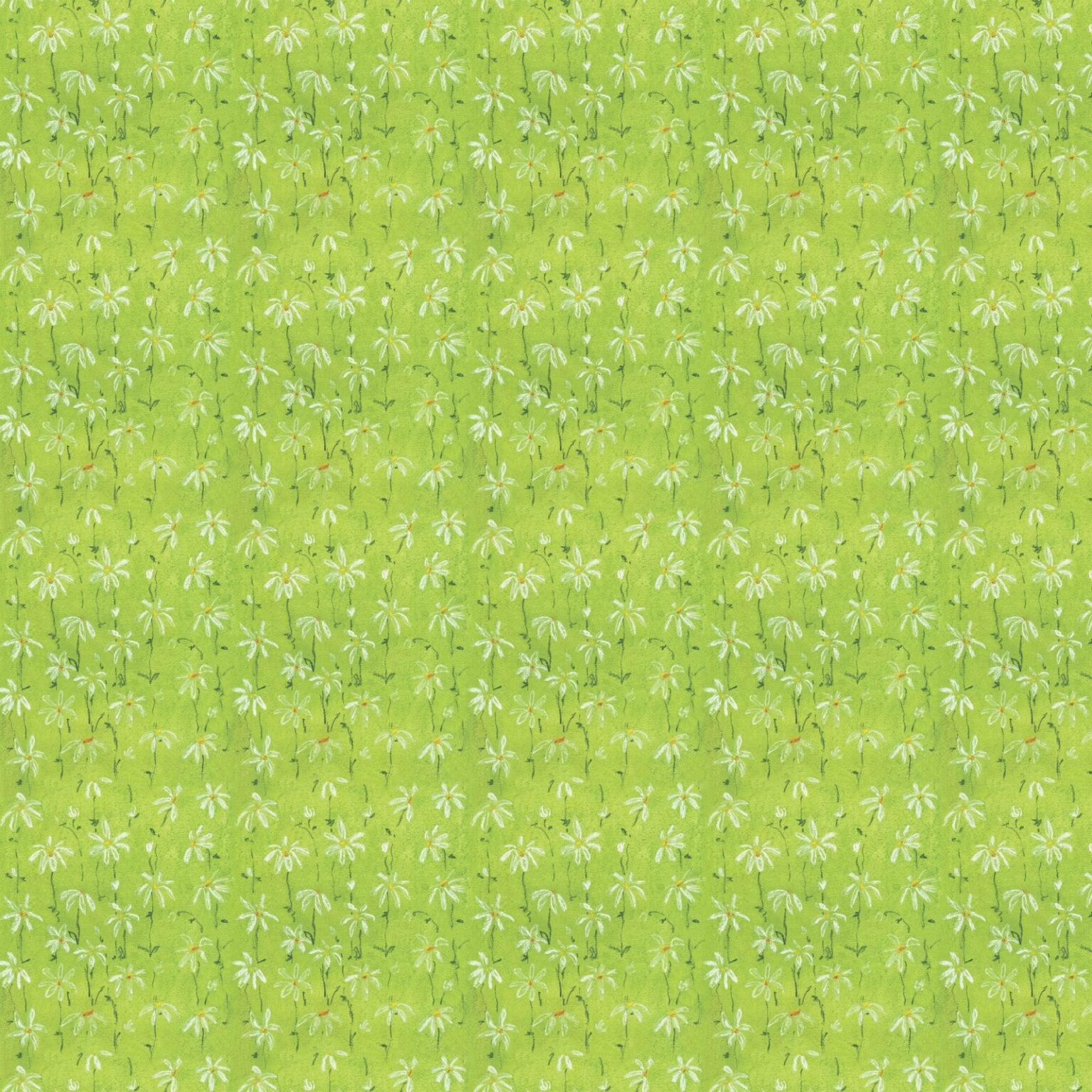 DaisyVerde_1mx1m